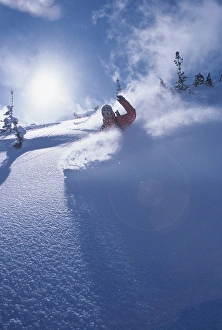 Skiing Prints: Mike carving fresh snow in Big Cottonwood Canyon, Uinta Wasatch Cache National Forest