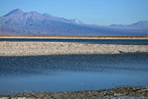 Eleven miles outside of San Pedro de Atacama, is Cejar, a series of three ponds located