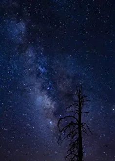 Milky Way Prints: Milky way over the Carson National Forest, Tres Piedras, New Mexico
