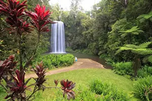 Images Dated 28th October 2010: Millaa Millaa Falls is one of the iconic landscapes of far north Queensland and one