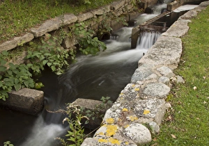 Mill Prints: Millrace at Dexter grist mill, Sandwich, Massachusetts