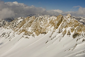 Skiing Prints: Mineral Fork, Big Cottonwood Canyon, Wasatch Mountains, near Salt lake City and Alta