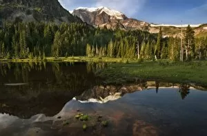 Images Dated 10th July 2007: Mineral Mountain and Mount Rainier reflected in Mystic Lake, Mount Rainier National Park