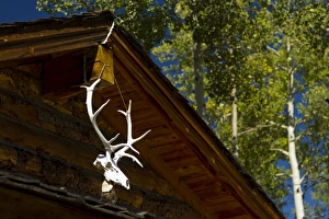 Miranda camp, Baldy mountain, Philmont Scout Ranch, Cimarron, New Mexico