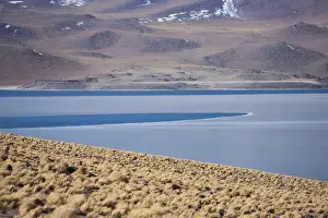 Altiplano Prints: Miscanti Lake is a brackish water lake located in the altiplano of the Antogafasta region of Chile