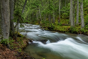Mission Valley Prints: Mission Creek in the Mission Mountains Tribal Wilderness near St