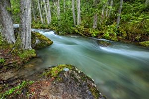 Images Dated 26th September 2024: Mission Creek in the Mission Mountains Tribal Wilderness near St