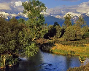 Mission Valley Prints: Mission Creek in the National Bison Range in Montana