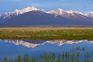 Mission Valley Prints: Mission Mountains cast a perfect refection in small pond at the Ninepipe WMA in