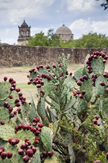 San Antonio Prints: Mission San Jose