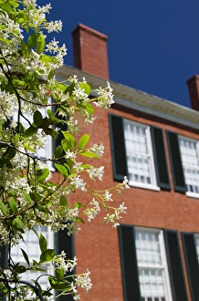 Images Dated 18th April 2012: Mississippi, Natchez. Spring Pilgrimage, historic Antebellum home Rosalie c