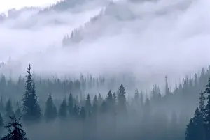 Meteorology Prints: Mist and fog shroud the Selway-Bitteroot mountains in north central Idaho