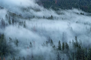 Images Dated 6th January 2024: Mist at Yosemite Tunnel View