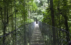 Place Prints: Mistico Arenal Hanging Bridges Park in Arenal, Costa Rica