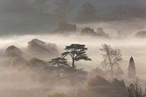 England Prints: Misty autumn morning, Uley, Gloucestershire, UK