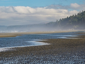 Prints of Misty beach, Olympic Peninsula, Washington State Images Dated 2024 September: Misty beach, Olympic Peninsula, Washington State