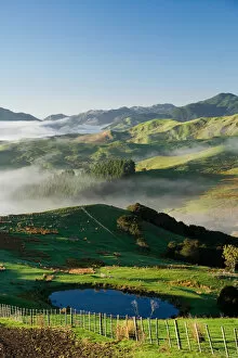 Images Dated 29th November 2006: Misty Farmland near Martinborough, Wairarapa, North Island, New Zealand