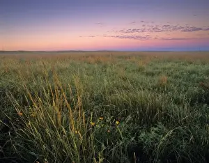 Images Dated 28th May 2010: Mixed grass prairie at dawn at Fort Niobrara National Wildlife Refuge in Valentine