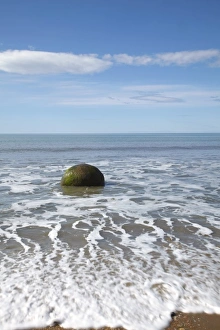 Moeraki Boulder, North Otago, South Island, New Zealand