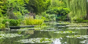 Images Dated 7th September 2017: Monets Garden with the Japanese influenced pond