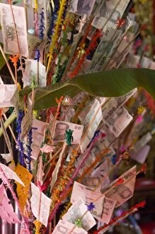 Money offering for Loi Krathong festival.Wat Chaimongkol Temple