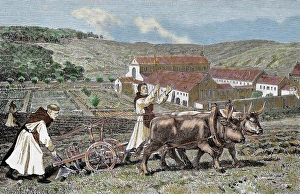 People In The Background Prints: Monks ploughing the land with oxen. Germany. 1872. Colored engraving