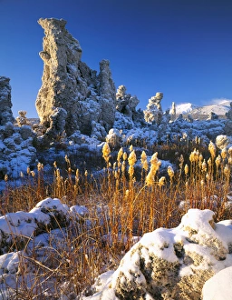 Images Dated 6th May 2010: MONO BASIN NATIONAL FOREST RESERVE, CALIFORNIA. USA. Fresh snow on tufa formations