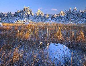 Wide Angle Prints: MONO BASIN NATIONAL FOREST RESERVE, CALIFORNIA. USA. Fresh snow on tufa formations