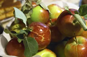 Apple Prints: Montenegrin food speciality: fresh apples on a plate Durovic Jovo Winery, Dupilo village