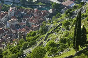 Kotor Prints: MONTENEGRO, Kotor Bay / Kotor. View of Old Town Kotor from the towns mountainside