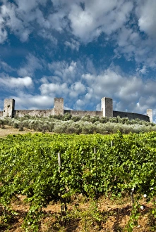 Monteriggioni, Siena province, Tuscany, Italy