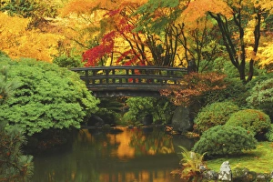 Moon Bridge in Autumn: Portland Japanese Garden, Portland, Oregon, USA