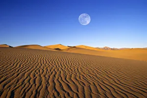 Prints of Full moon over evening light on dune patterns on the Mesquite Flat Sand Dunes, Death Valley National Park, California, USA Images Dated 2018 December: Full moon over evening light on dune patterns on the Mesquite Flat Sand Dunes, Death