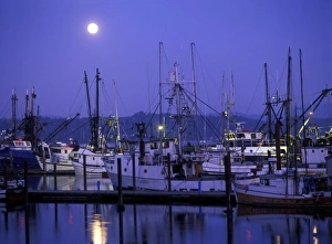 Newport Prints: Moon rise over fishing boats in Newport harbor, Oregon