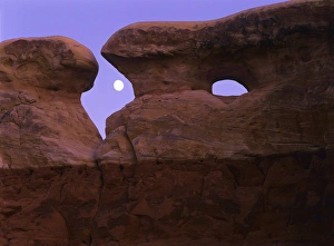 Moonrise Prints: The moon rises between spectacular hoodoos in Devils Garden, Grand Staircase