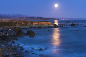 Images Dated 21st May 2016: Full moon rising over Piedras Blancas elephant seal rookery, San Simeon, California USA