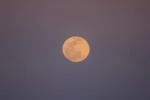 Images Dated 13th February 2006: full moon over Scammons Lagoon, Guerrero Negro, Baja California Peninsula, Mexico