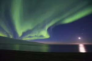 Images Dated 17th September 2006: The moon shines down on the Arctic Ocean as curtains of green Aurora Borealis dance overhead
