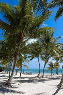 Images Dated 14th March 2009: The Moorings Resort, Marathon, Key West, Florida, USA