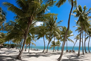 The Moorings Resort, Marathon, Key West, Florida, USA