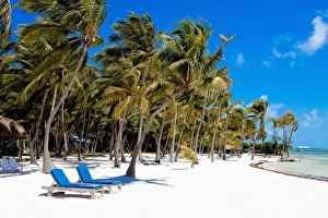 Images Dated 14th March 2009: The Moorings Resort, Marathon, Key West, Florida, USA