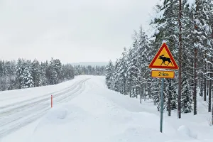 Snowy Prints: Moose crossing sign on snowy winter road, Lapland, North Finland