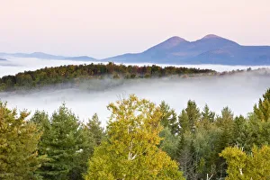 Great Outdoors Prints: Morning fog
