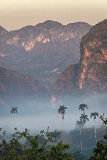 Prints of Morning fog rises from the palm tree lined Vinales Valley, Cuba Caribbean Prints: Morning fog rises from the palm tree lined Vinales Valley, Cuba