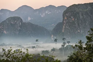 Images Dated 29th January 2020: Morning fog rises from the palm tree lined Vinales Valley, Cuba