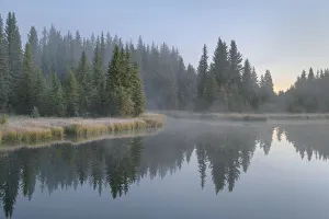 Still Prints: Morning fog at Schwabacher Landing, Grand Teton National Park, Wyoming