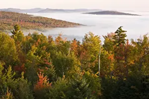 Great Outdoors Prints: Morning fog as seen from the fire tower at Milan Hill State Park in Milan, New Hampshire