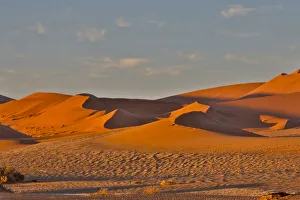 High Prints: Morning light on the sand dunes of Sossusvlei, Namibia