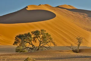 Images Dated 2nd July 2017: Morning light on the sand dunes of Sossusvlei, Namibia