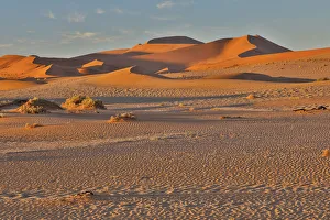 Images Dated 2nd July 2017: Morning light on the sand dunes of Sossusvlei, Namibia